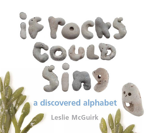 If Rocks Could Sing book cover